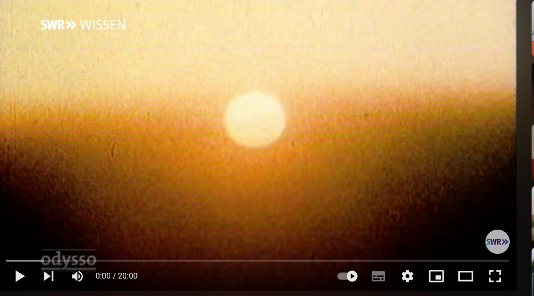 Lichtkrank-ein Leben ohne Sonne